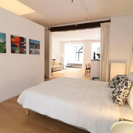 Apartment Jourdan Loft Brussels
